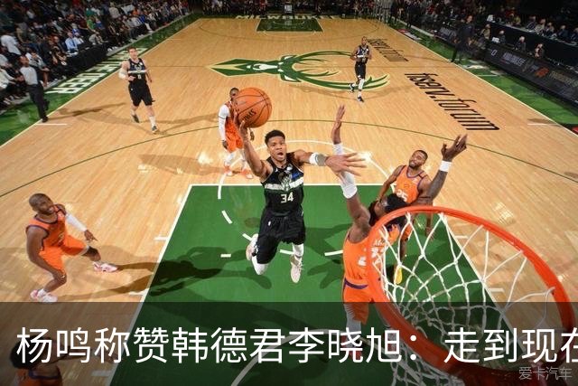 杨鸣称赞韩德君李晓旭：走到现在他们功不可没